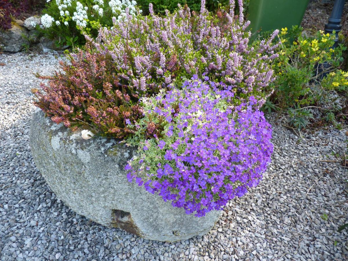 Higher Coombe Bovey Tracey Bagian luar foto