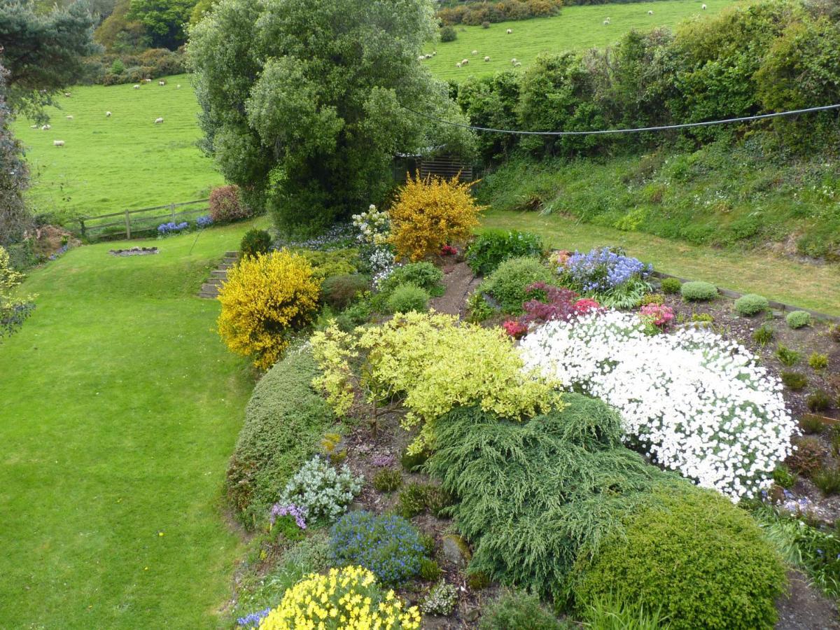 Higher Coombe Bovey Tracey Bagian luar foto