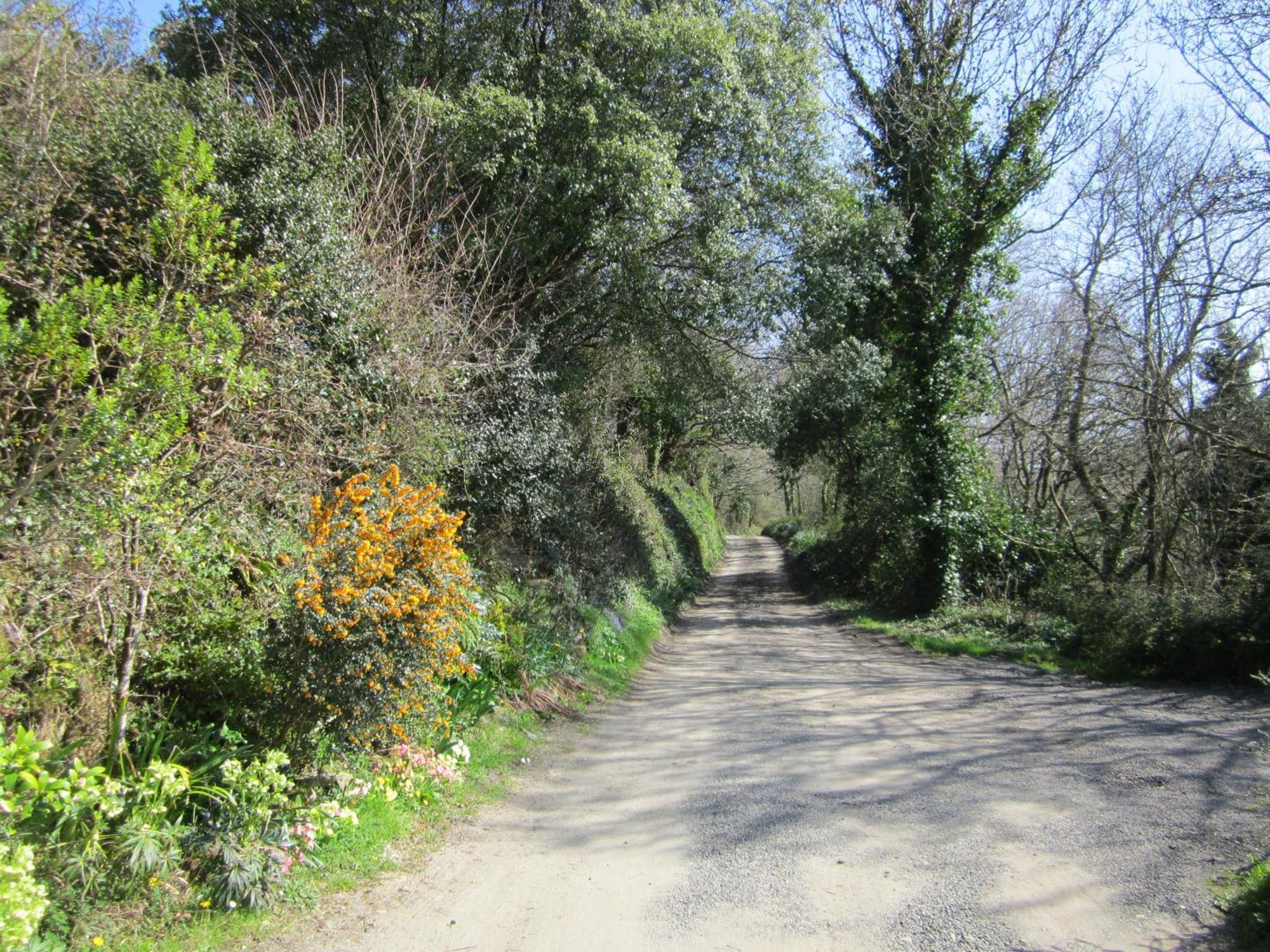 Higher Coombe Bovey Tracey Bagian luar foto